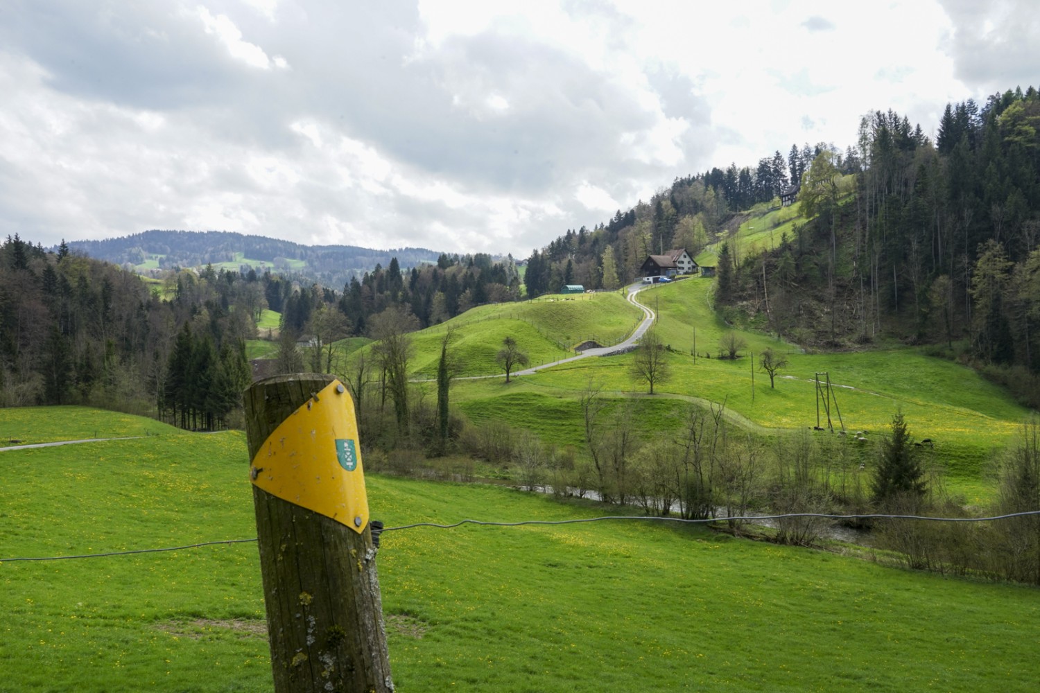 Randonnée dans la région frontalière des cantons de Saint-Gall et d’Appenzell Rhodes-Extérieures. Photo: Reto Wissmann