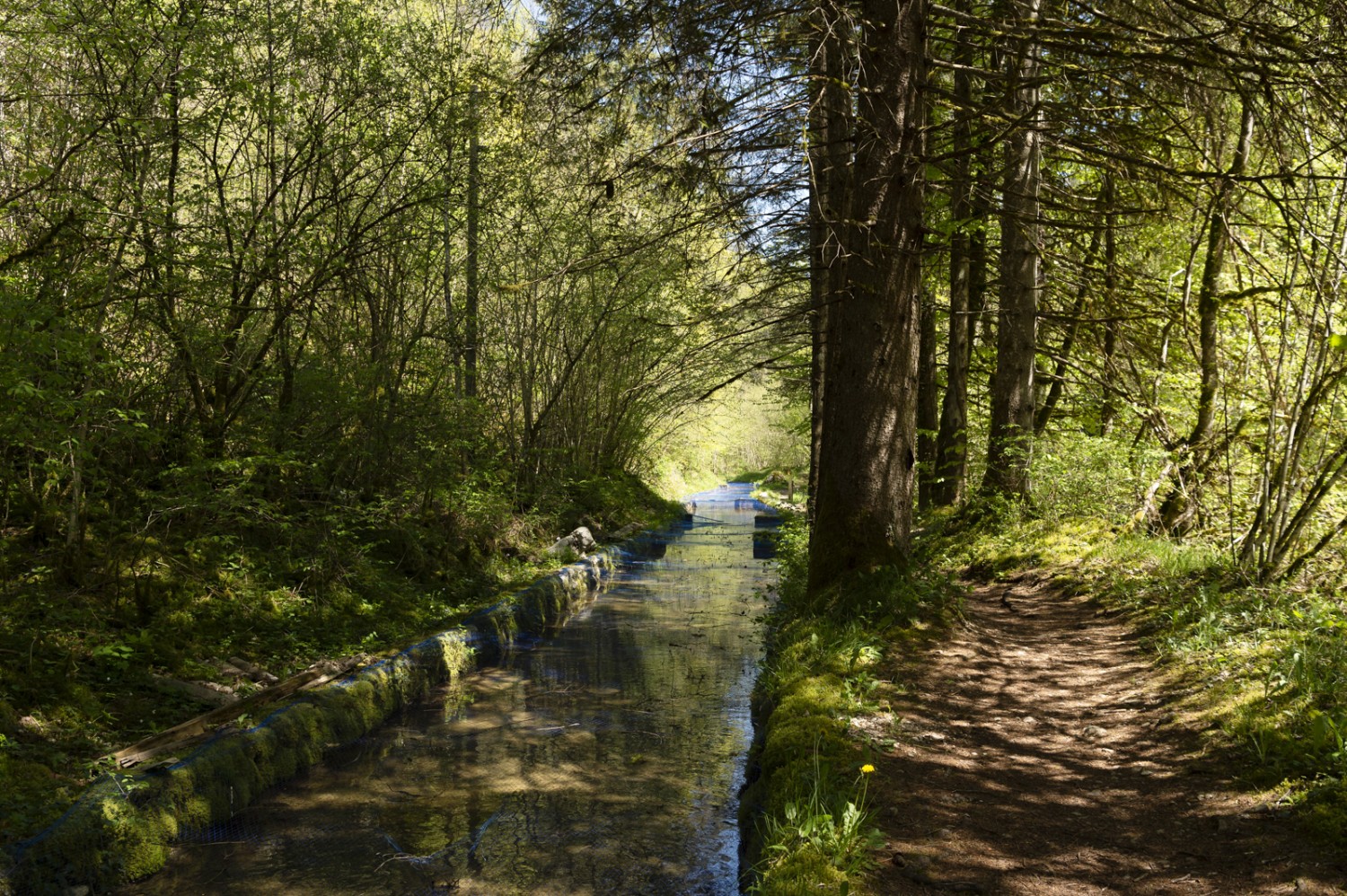 Tout près de l’eau: le chemin longe un canal de pêcheurs.
Photo: Raja Läubli