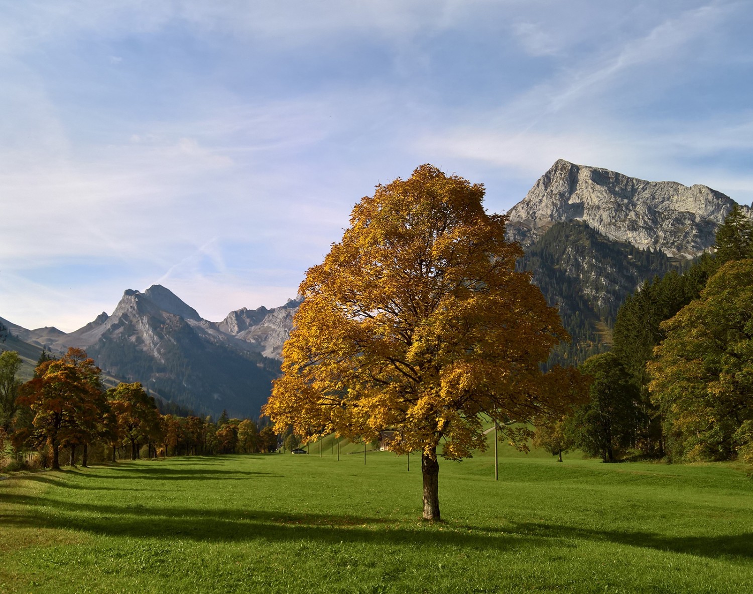 Eine malerische Kulisse: das bunte Laub der Bergahorne. Bilder: Andreas Staeger