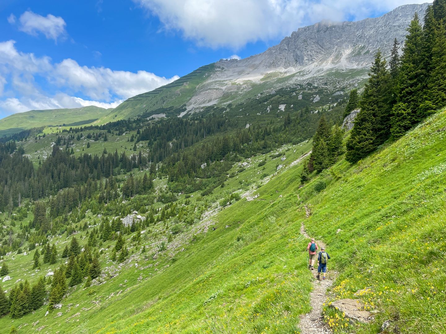 Mal durch Alpwiesen, mal durch schroffes Gestein schlängelt sich der Weg dem Hang entlang.