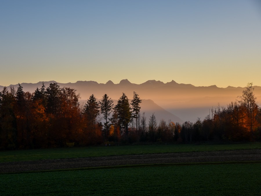 Mystische Abendstimmung auf dem Weg nach Rüttihubelbad. Foto: Alexandra Blatter