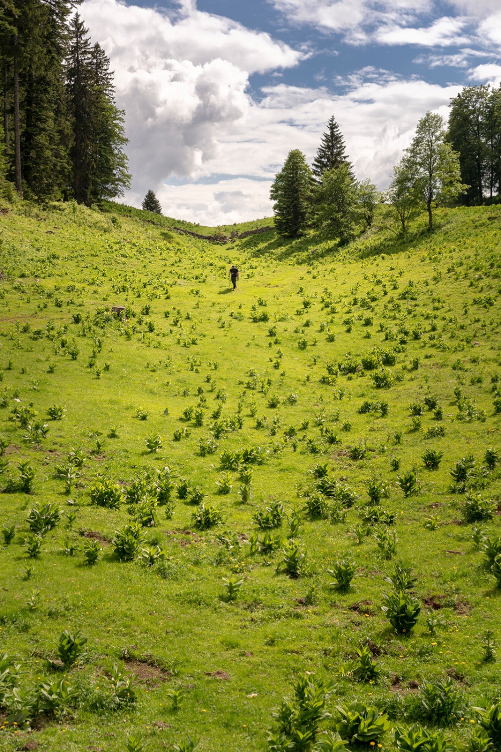 Le calme absolu dans le vallon entre Le Planet et Perroude de Vaud. Photo: Severin Nowacki