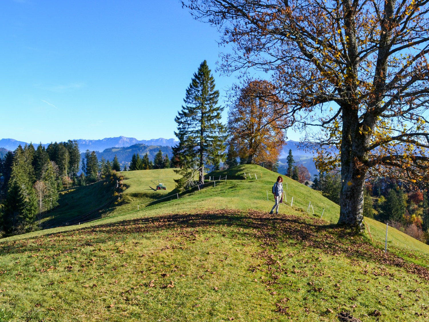 Entre Oberstauffen et Trub, le chemin est encore long. Photo: Sabine Joss