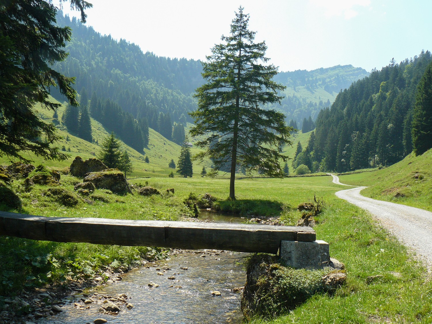 Gemütlich wandert es sich im Ijental. Bild: zvg