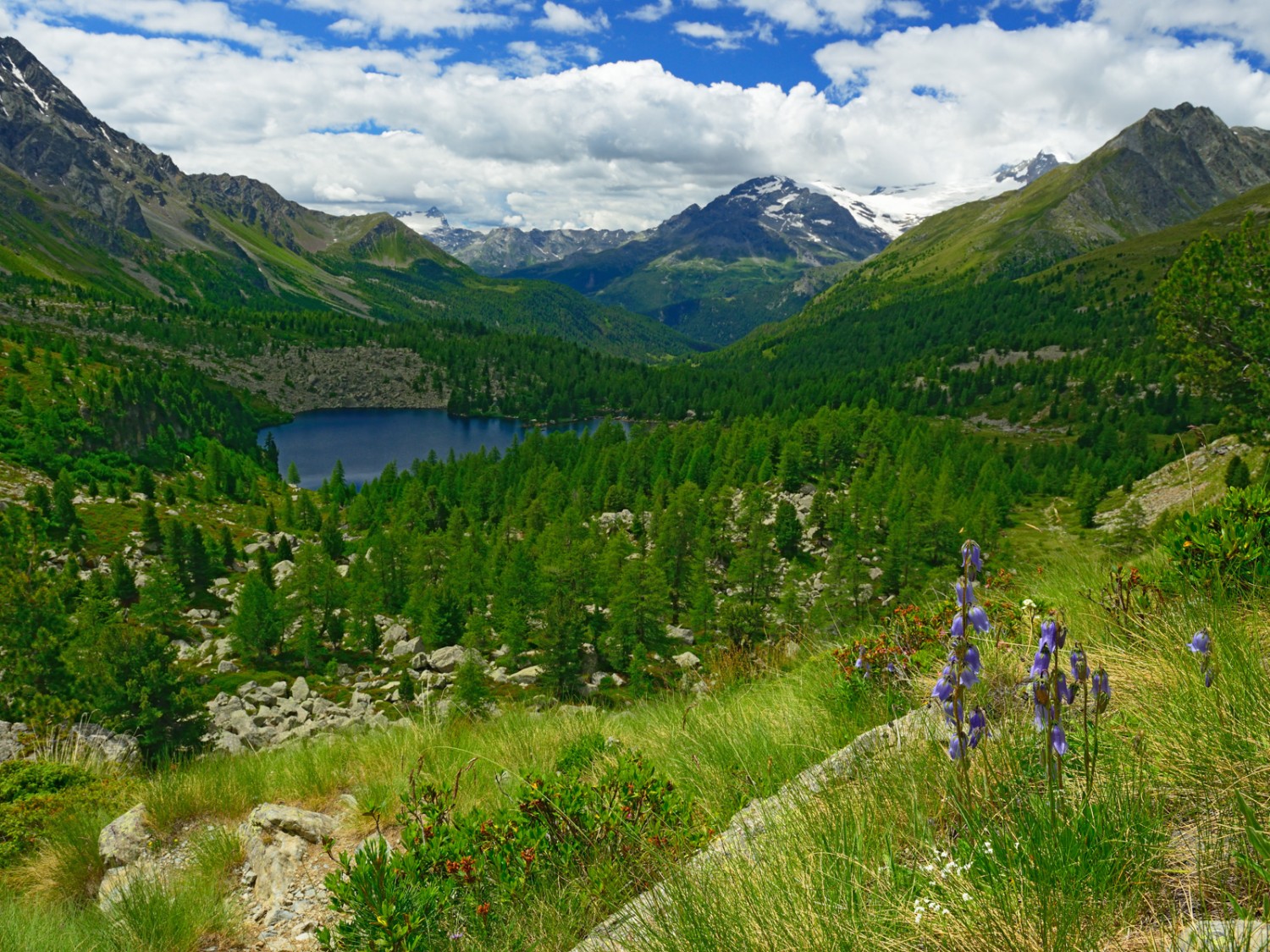 Der Lagh da Val Viola befindet sich auf 2159 Metern über Meer. Bild: natur-welten.ch