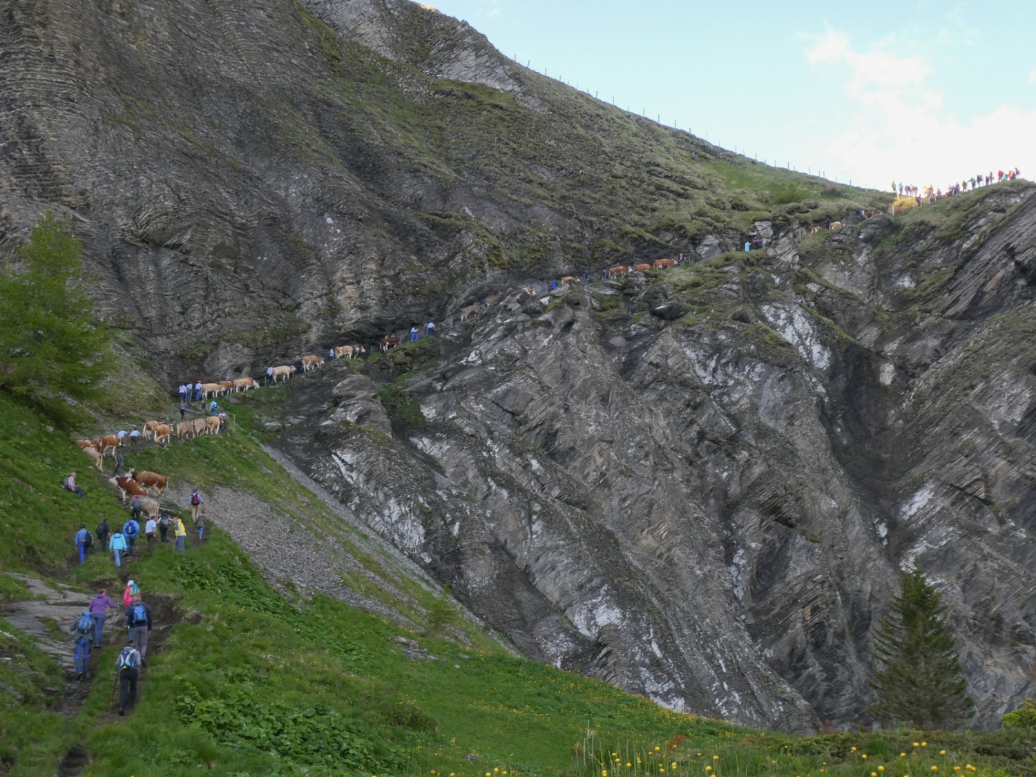 Le final: en haut à droite débute l’alpage Engstligenalp.