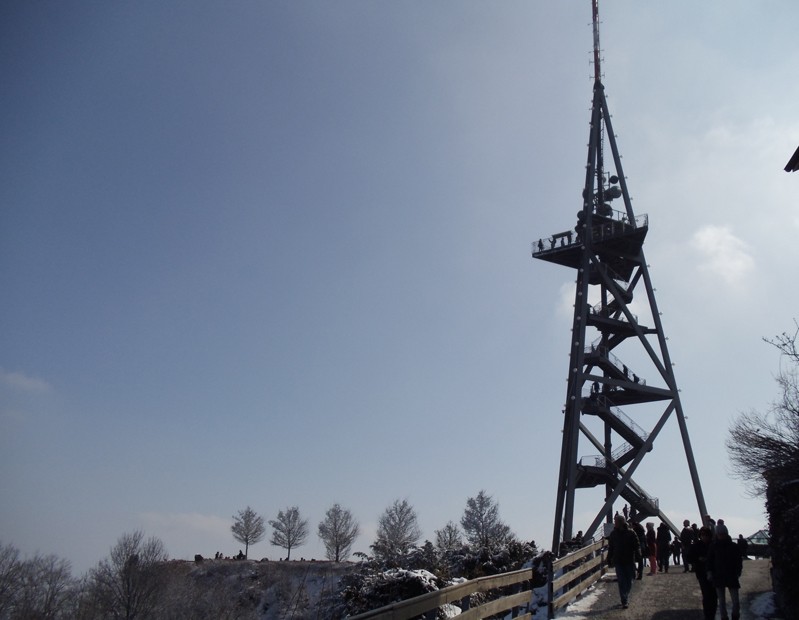 Der Aussichtsturm auf dem Uetliberg.