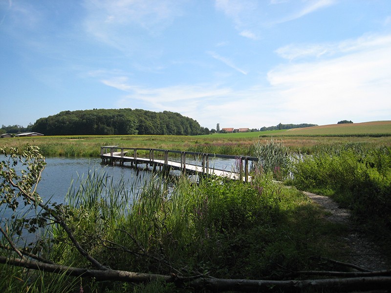 Auf neuen Spazierwegen durch das malerische Seebachtal. Bild: Stefan Birchler