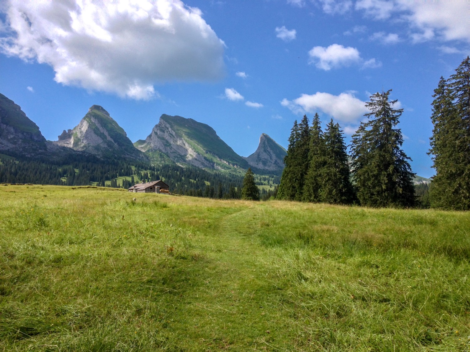 Über Weiden führt der Weg bis an den Fuss des Selun. Dort erst beginnt der Aufstieg. Bild: Claudia Peter