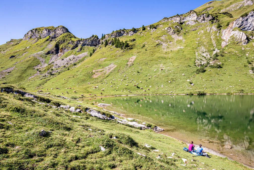 Der ideale Mittagsplatz: Das Sulsseewli. Bild: Daniel Fleuti