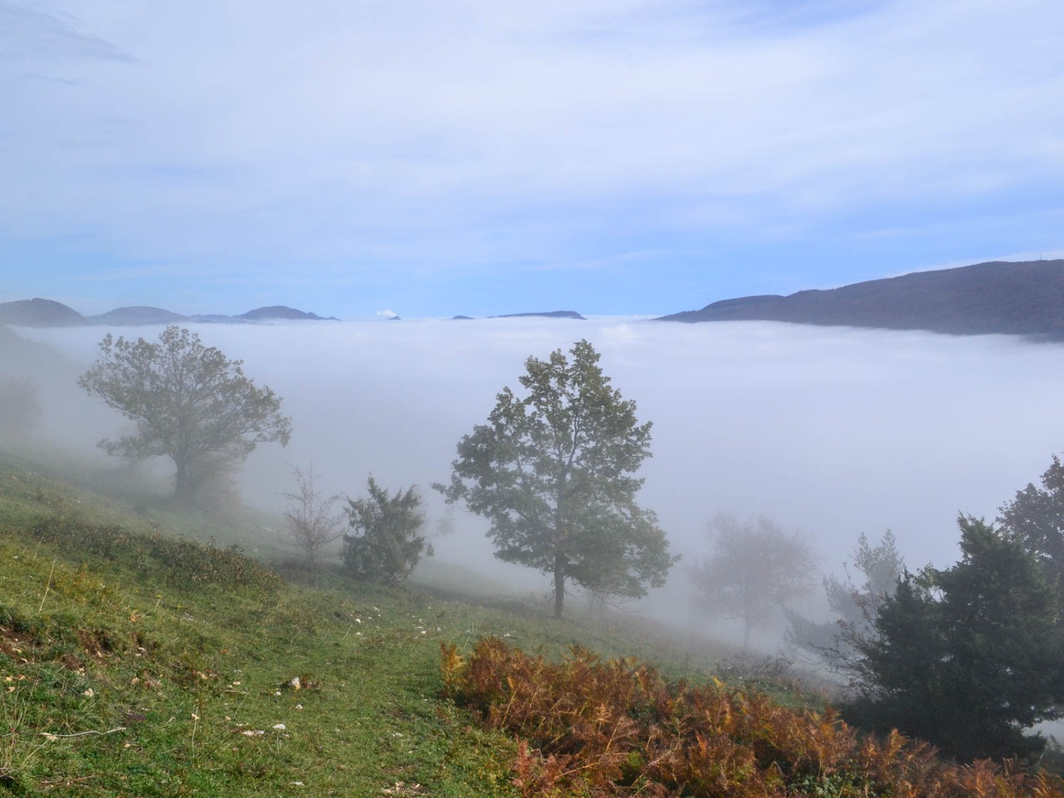 À la frontière entre soleil et brouillard. Photo: Sabine Joss