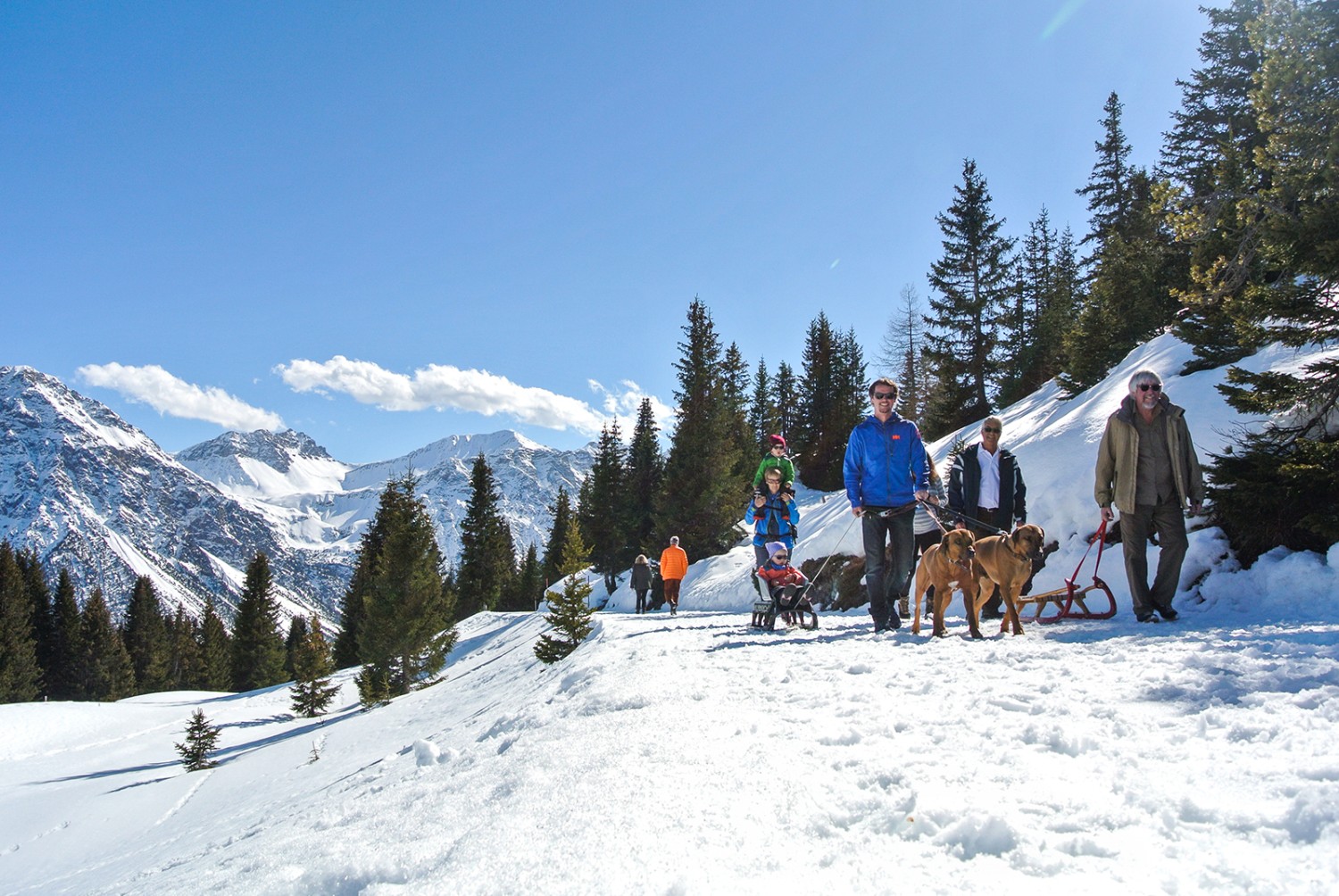 Une randonnée d’hiver agréable jusqu’à l’auberge de Prätschalp. Le chemin est large et se prête bien à la luge. Photos: Rémy Kappeler 