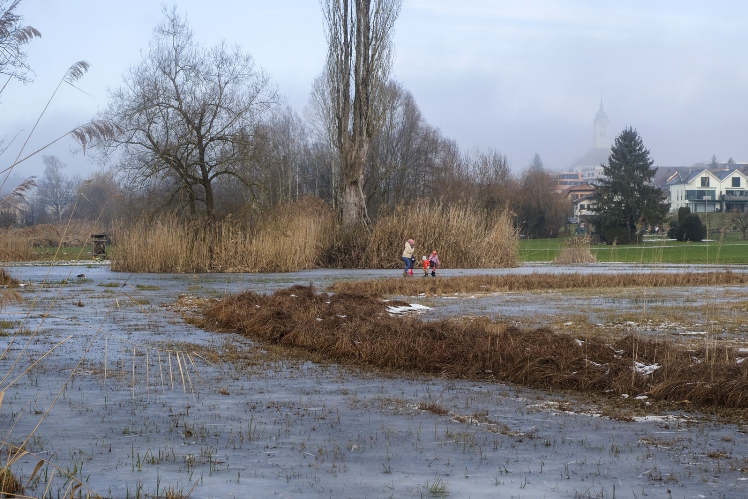 Das Wasser in den Seemösern ist im Winter ab und zu gefroren. Betreten auf eigene Gefahr. Bild: Elsbeth Flüeler