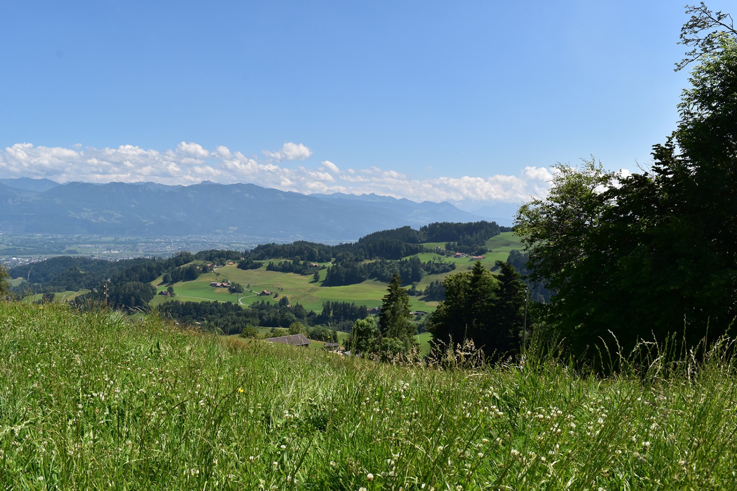 Auf und ab im typisch hügeligen und grünen Innerrhoder Vorderland. 