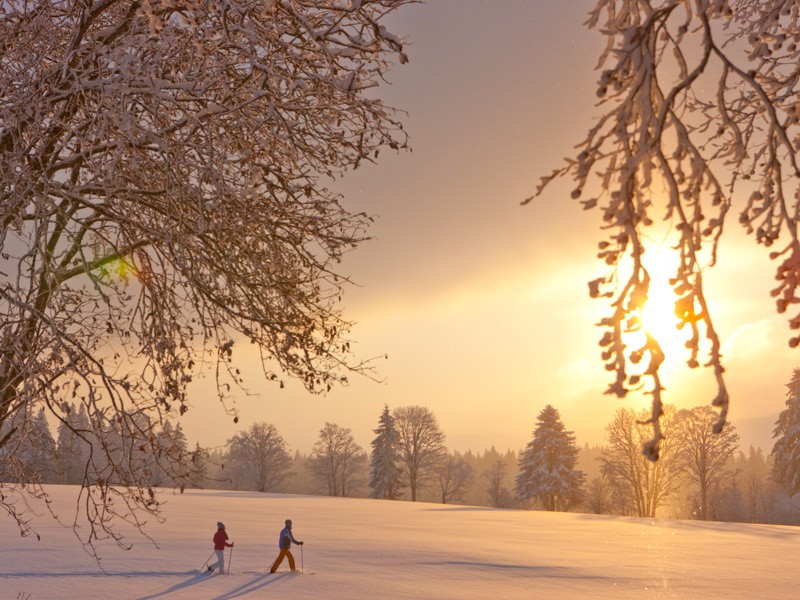 Calme profond sur fond de paysage enneigé. Photo: Jura Tourisme