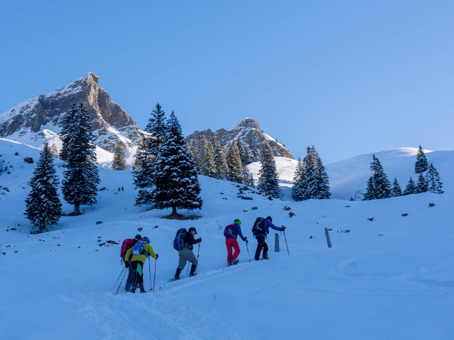 Le chemin monte à travers des pâturages enneigés. Photo: Franz Ulrich