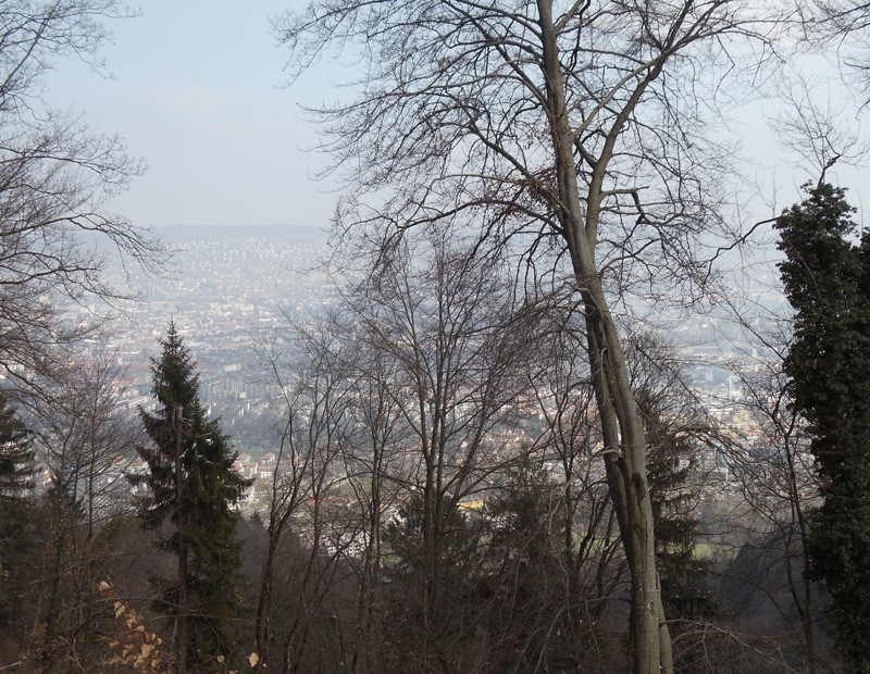 Blick vom Teeshüsli.