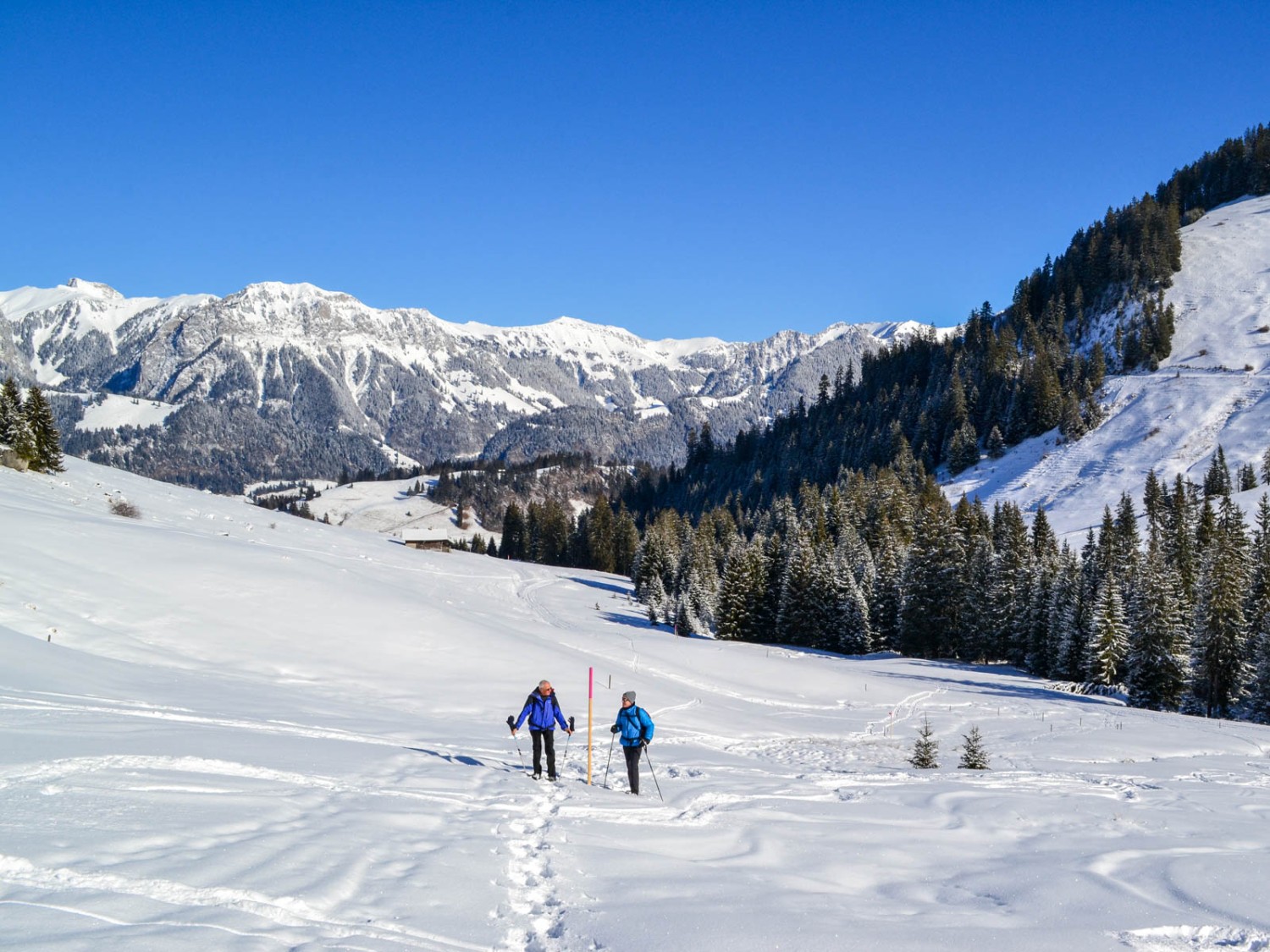 La piste de raquettes monte en diagonale jusqu’à Vorderi Site. Photo: Sabine Joss