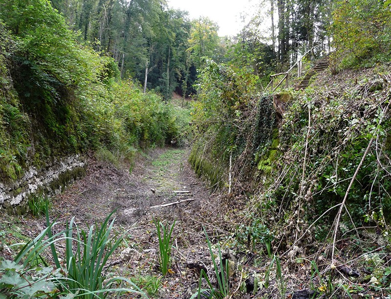 Vestiges du canal de 60 mètres de long: à l’époque, des bateaux passaient au beau milieu de la forêt. Photos: Hans Schüpbach, PBC