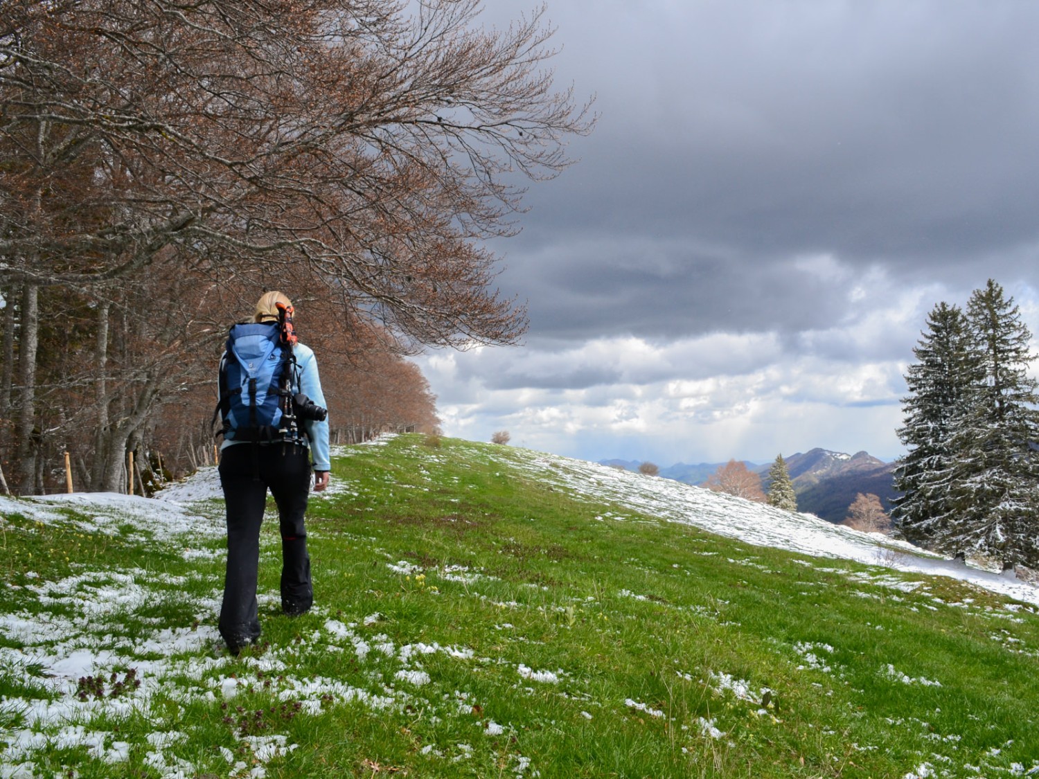 Der Wanderweg führt der Krete des Oberdörferbergs entlang. Foto: Sabine Joss