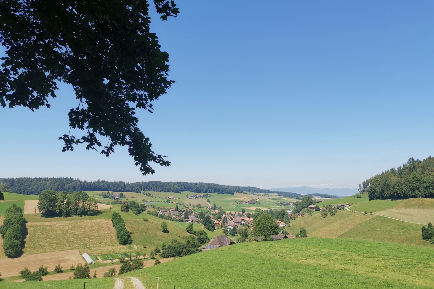 Abstieg ins Dorf Ursenbach, dessen Kirche über historisch besonders wertvolle Fenster verfügt.