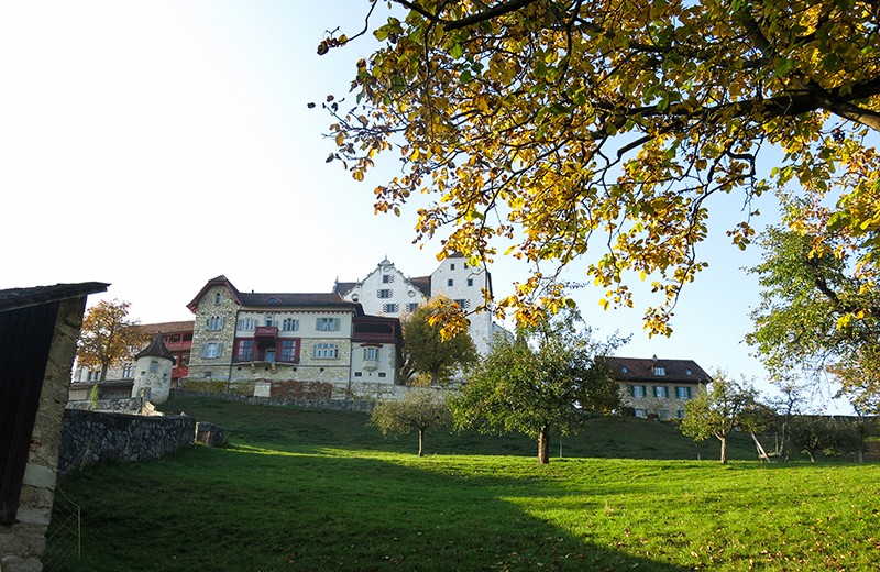 Am Ende des Chestenbergs liegt Schloss Wildegg. Bilder: Marina Bolzli