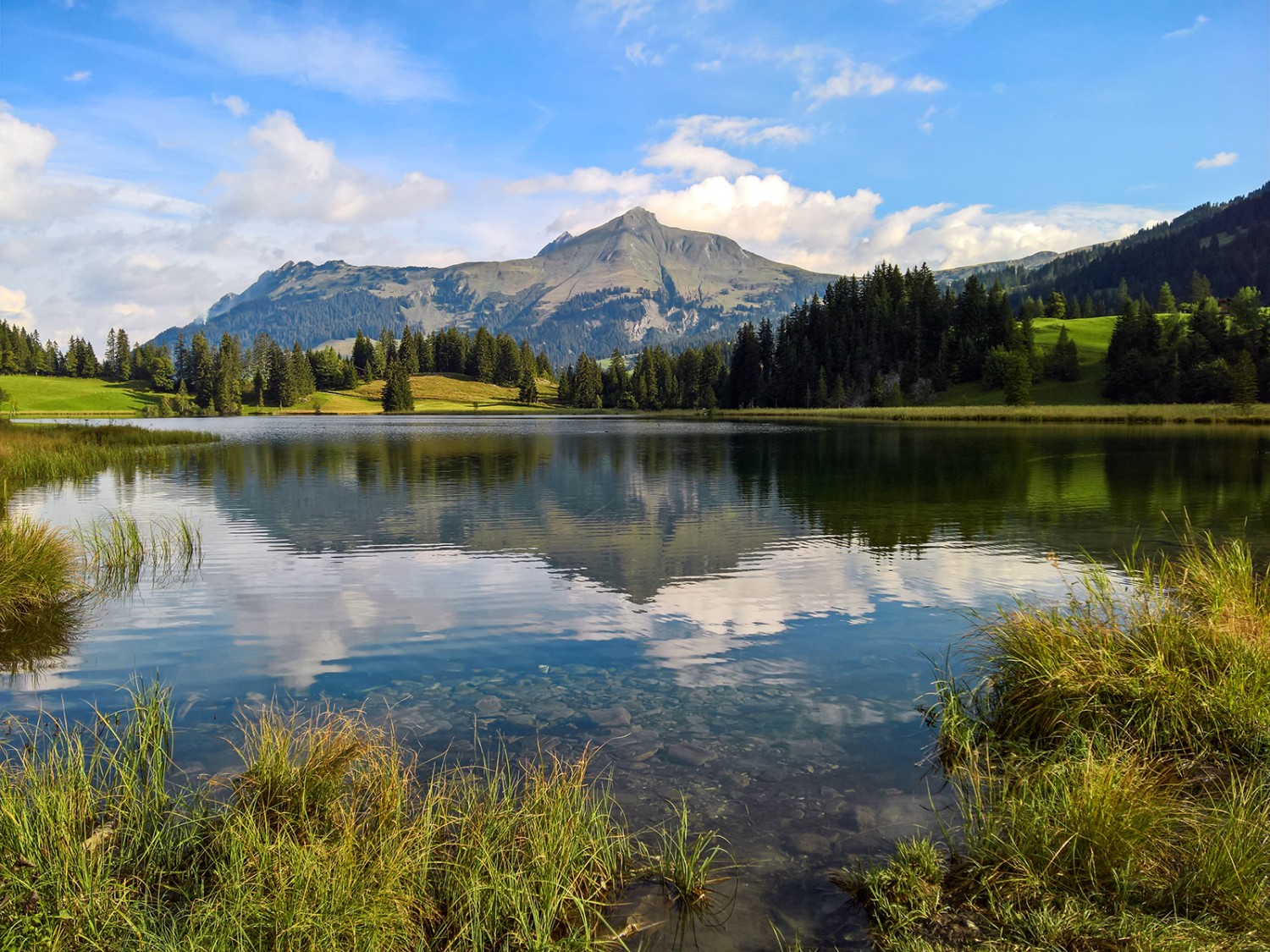 Prairies, marécages et forêts entourent le lac de Lauenen. Photo: Andreas Staeger