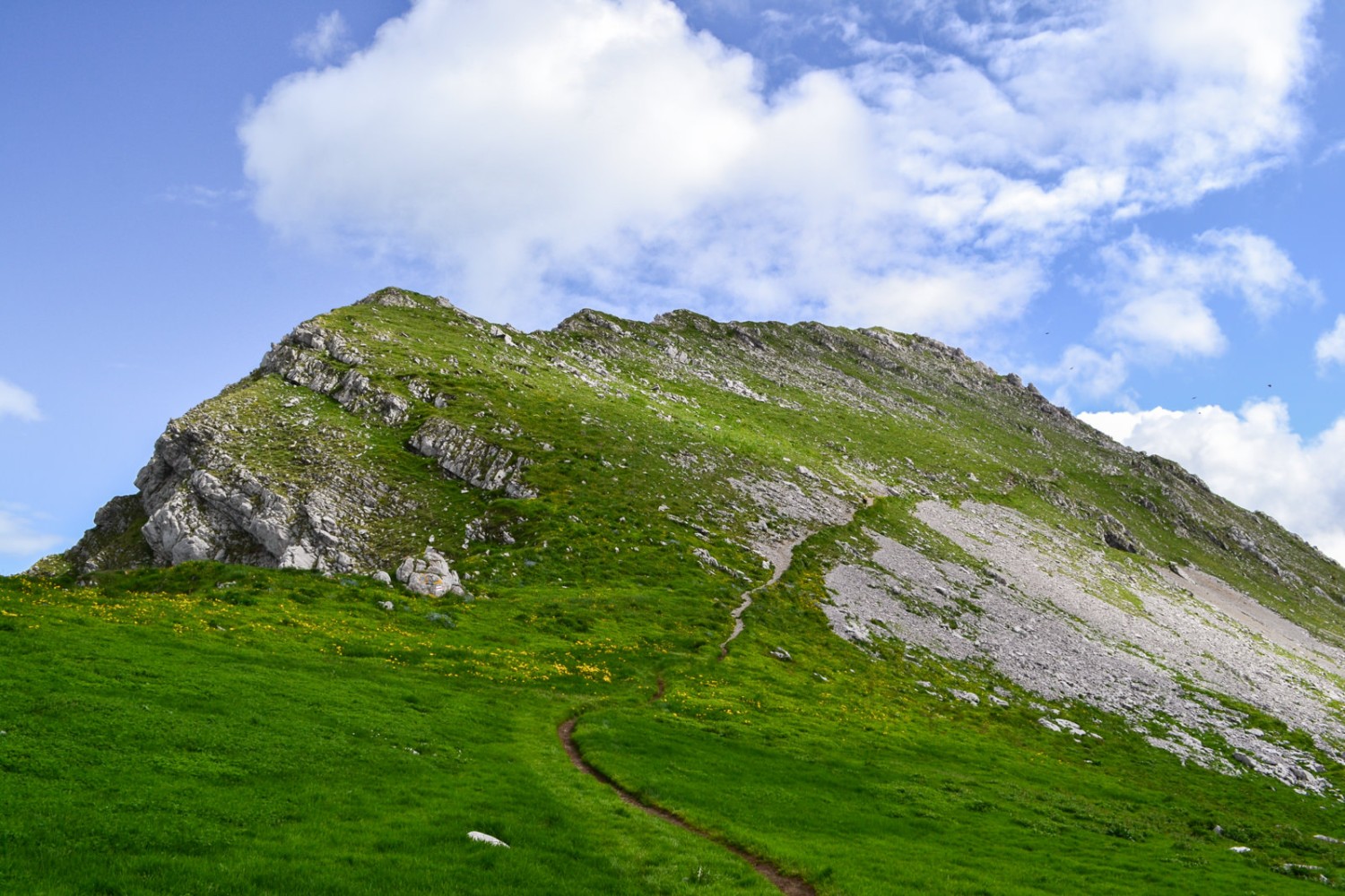 Bis zum Gipfel der Kaiseregg ist es nicht mehr weit! Bild: Sabine Joss