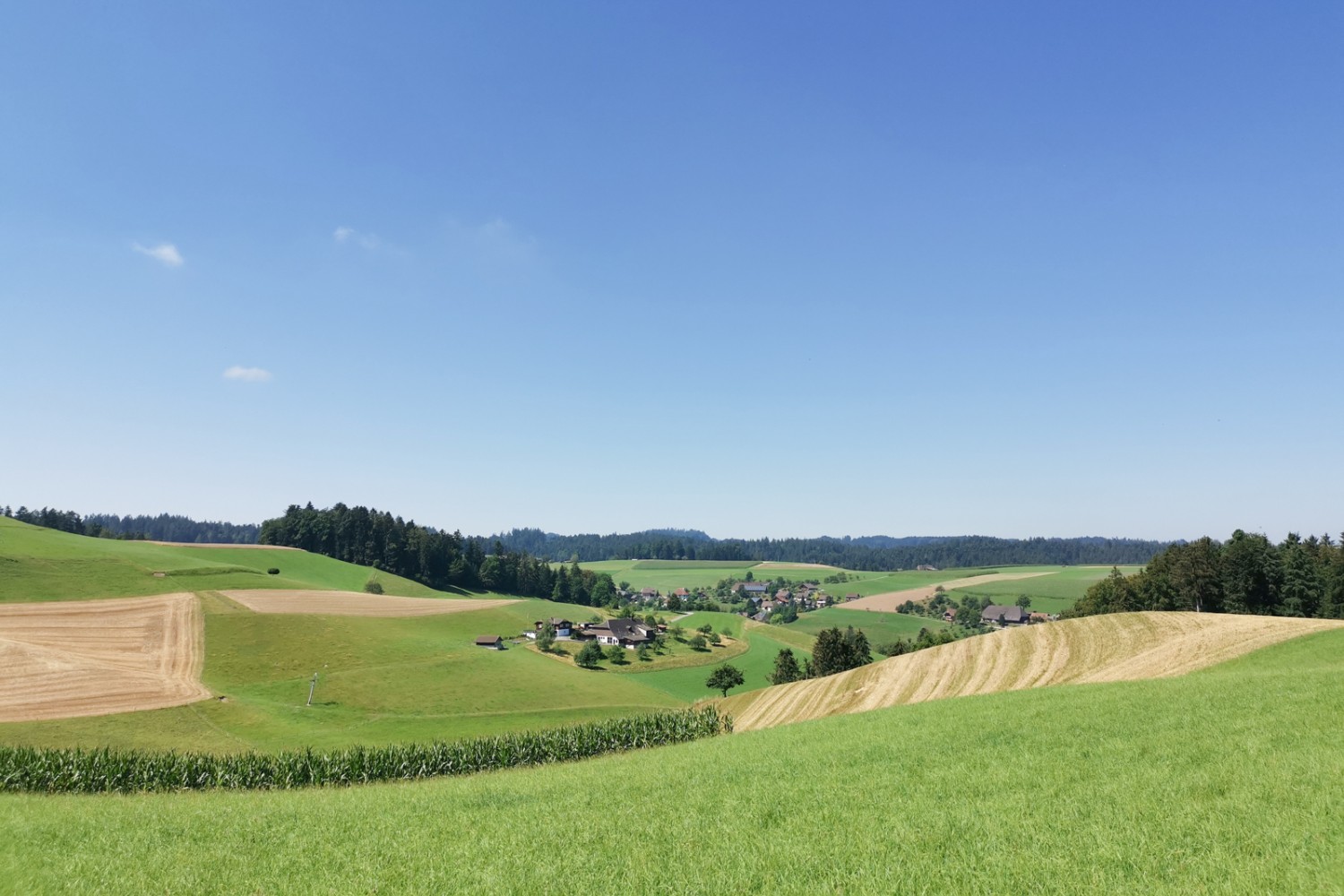 Typische Emmentaler Hügellandschaft.