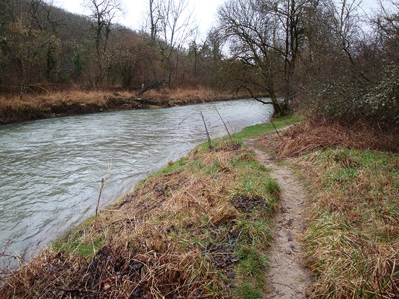 Der Pfad schlängelt sich dem Fluss und der Grenze zwischen der Schweiz und Frankreich entlang. Bilder: Sabine Joss