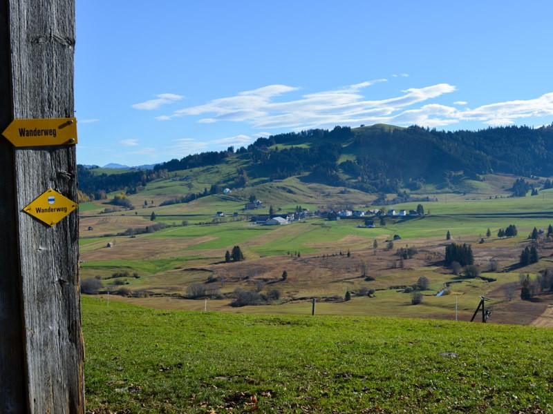 Ausblick vom «Schönenboden» über das Rothenthurmer-Moor zum Ausgangsort: Dritte Altmatt. Bilder: Werner Nef