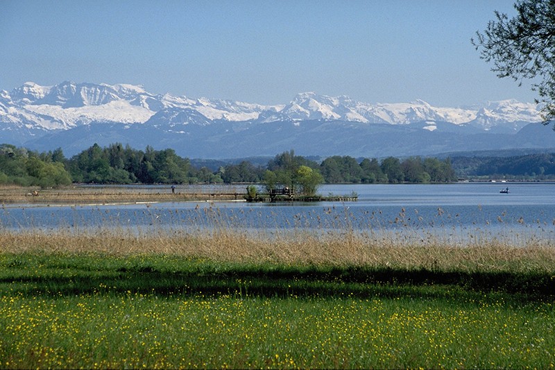 Dieser Ausblick auf die Glarner Alpen eröffnet sich Wandernden auf dem Weg um den Greifensee.