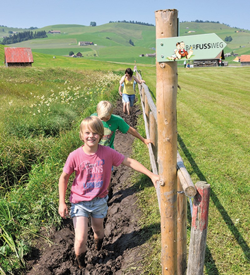 Nella torbiera i bambini camminano a tratti sprofondando fino alle ginocchia nel fango. Foto: appenzell.ch