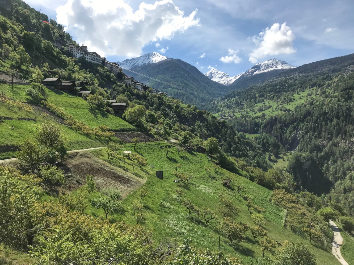 Dall’area di sosta all’altezza di «Pierre Oray» si può già vedere il villaggio di Isérables. Foto: Ulrike Marx