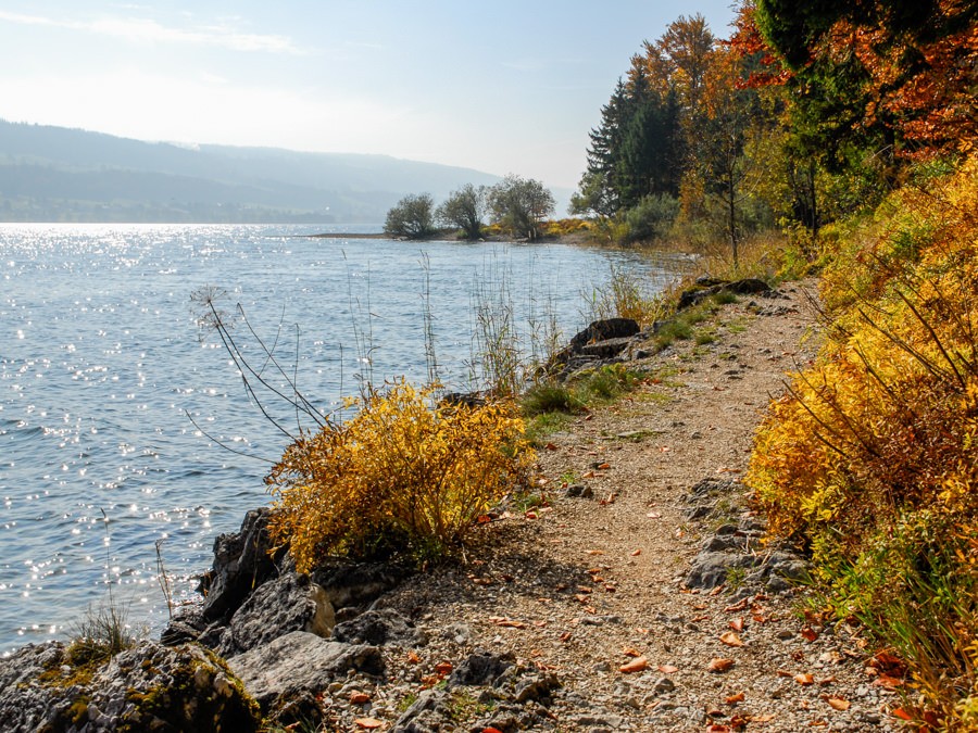 Beschaulicher Wanderweg am sonnigen Ufer des Lac de Joux.