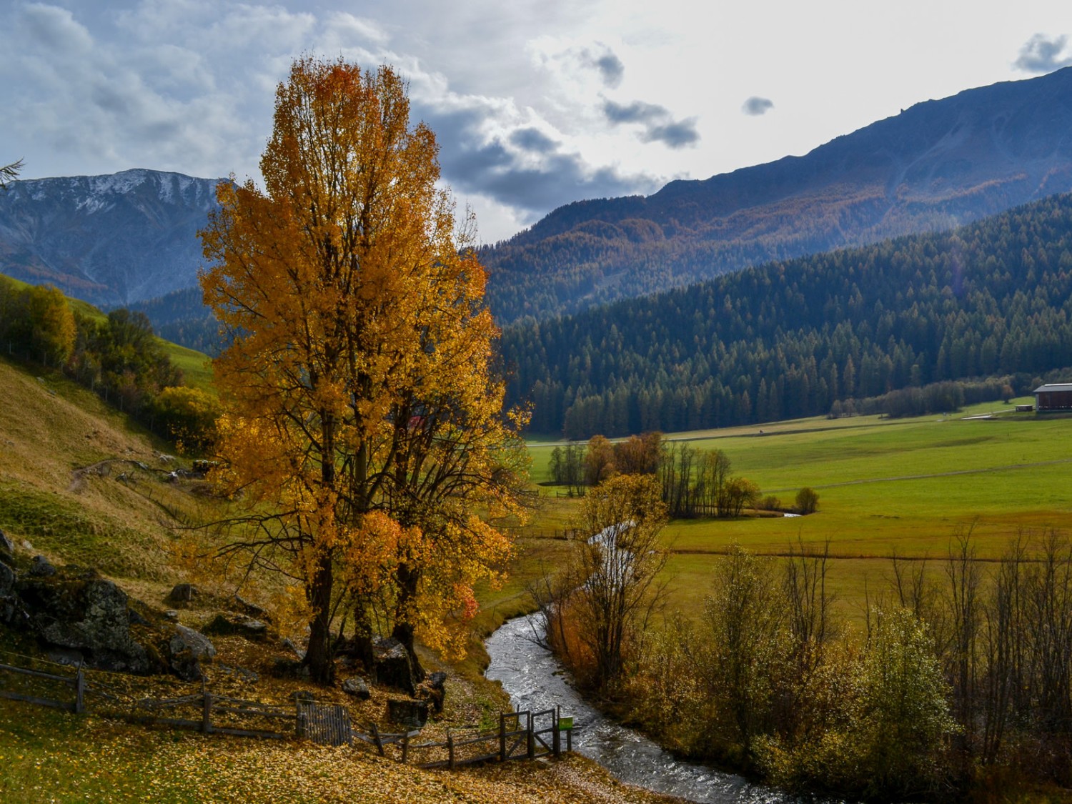 Les berges du Rom près de Fuldera. Photo: Sabine Joss