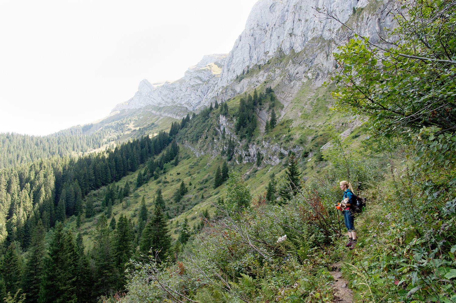 Im Aufstieg vom Eigenthal zum Rottosse. Bilder: Raja Läubli