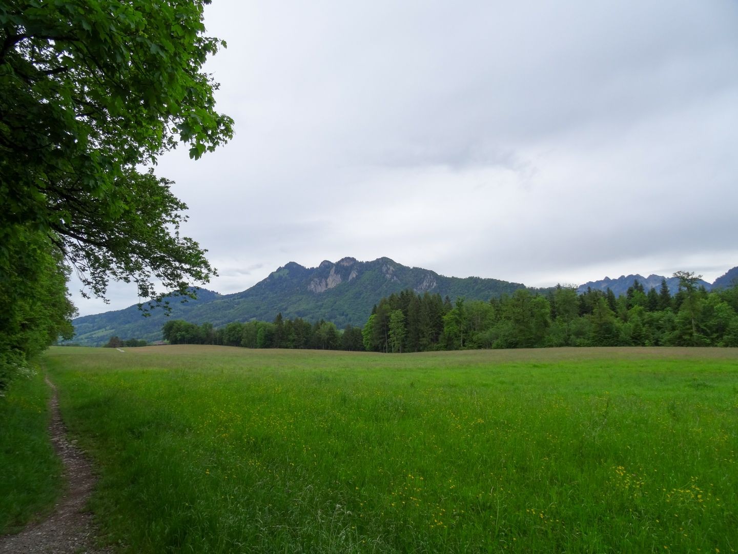 Lungo un sentiero naturalistico con veduta sulle Prealpi friburghesi.