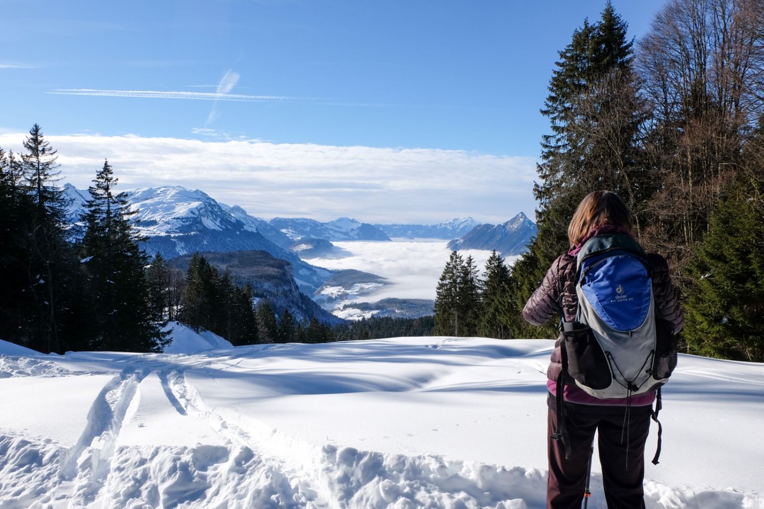 Nebelmeer über dem Vierwaldstättersee.