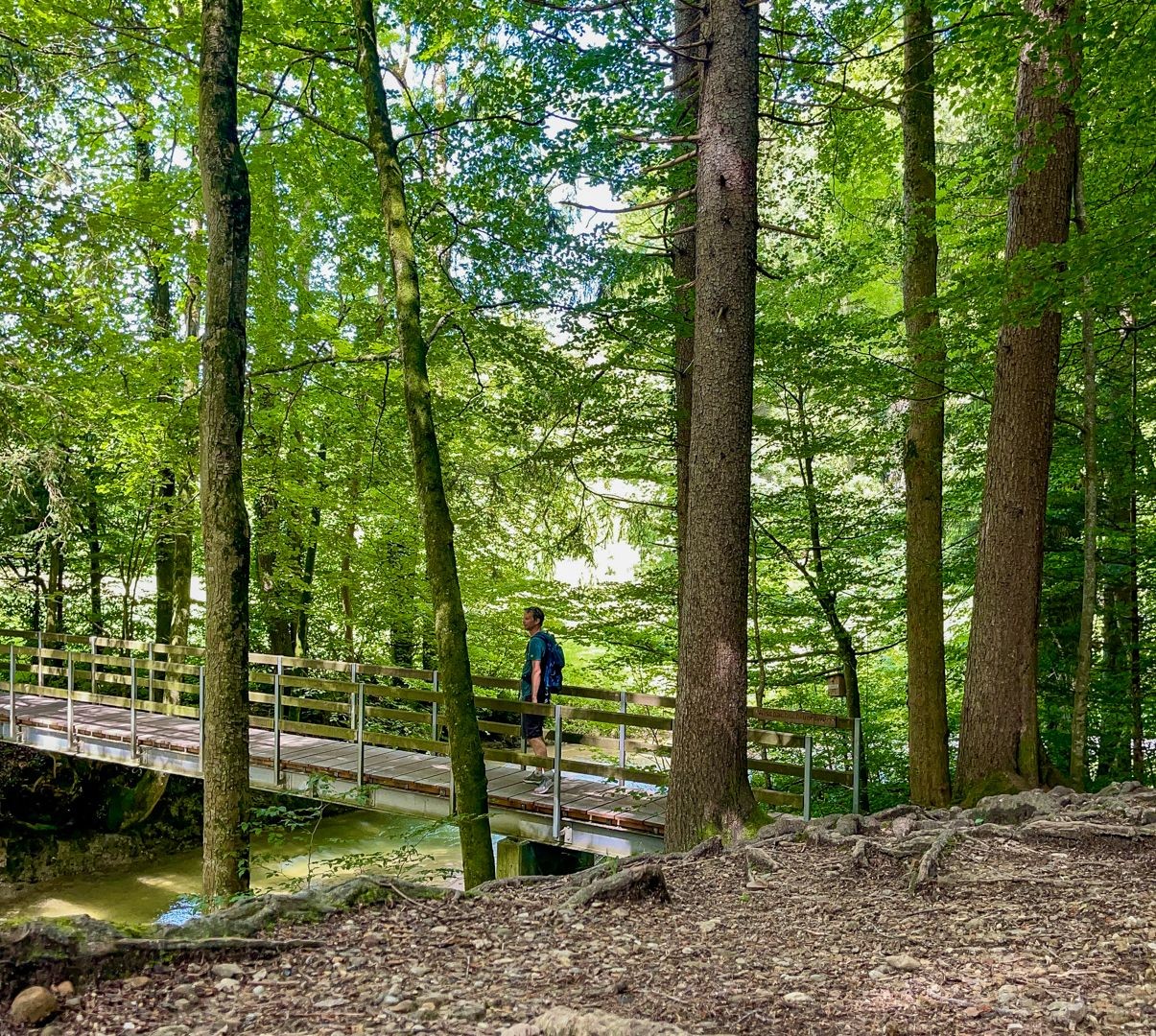 Il penultimo ponte della gola. In seguito il paesaggio si apre nuovamente e il sentiero si snoda attraverso prati e campi.