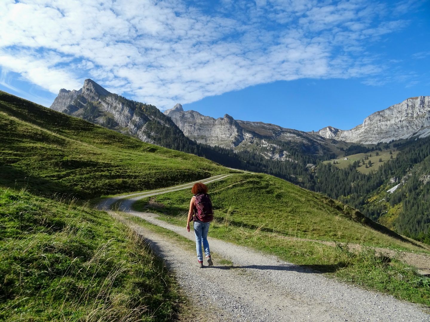 Le chemin alpin entre la Grimmialp et Nidegg