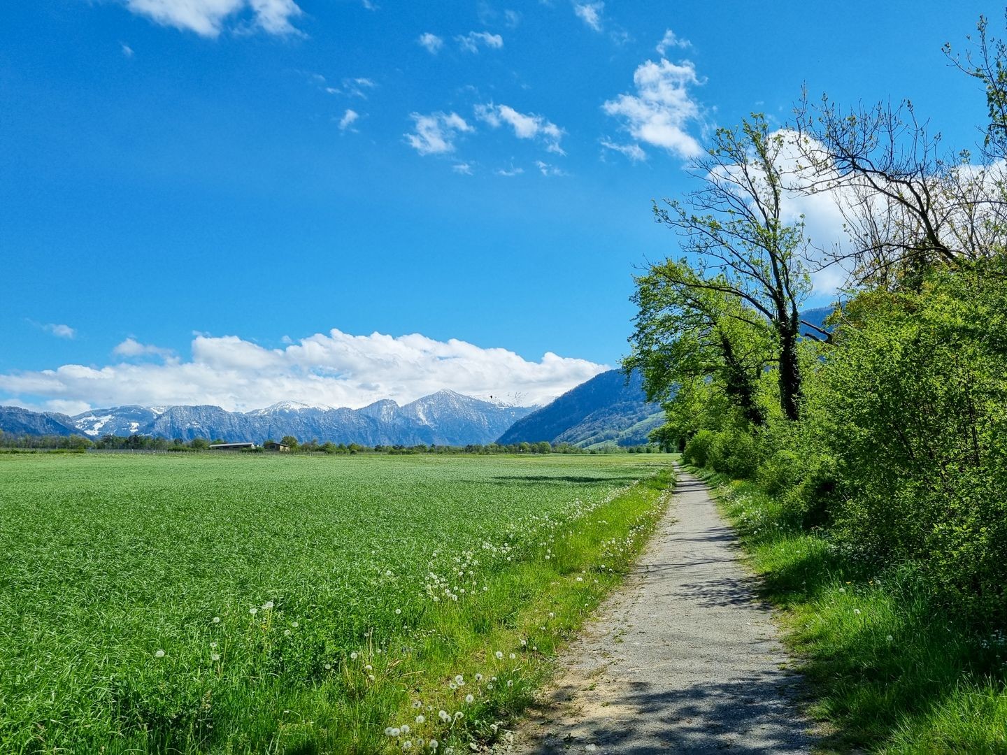 Dernière ligne droite vers Bad Ragaz