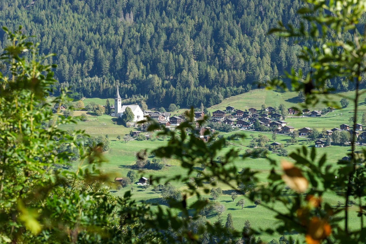 Des belles vues dès le départ: coup d’œil sur Ernen depuis Lax.