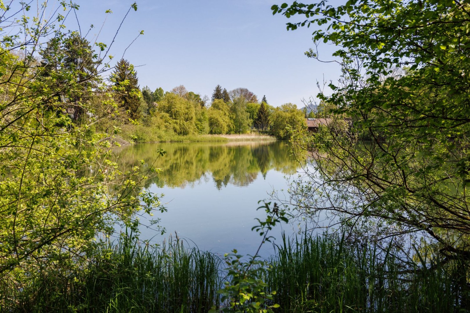 L’Egelsee, une zone de détente de proximité pour les personnes habitant la capitale