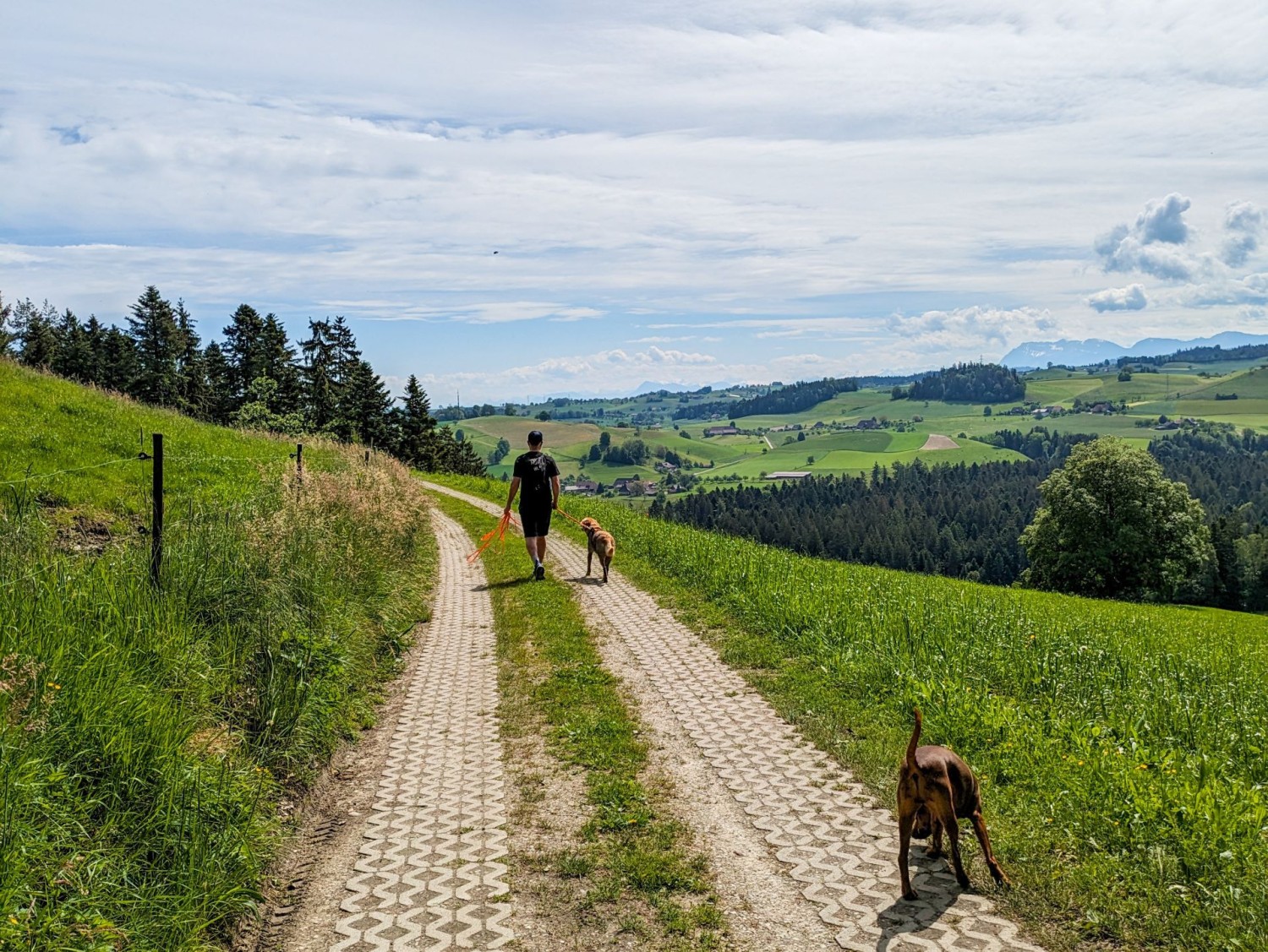 Wanderung mit Weitblick ins Emmental.