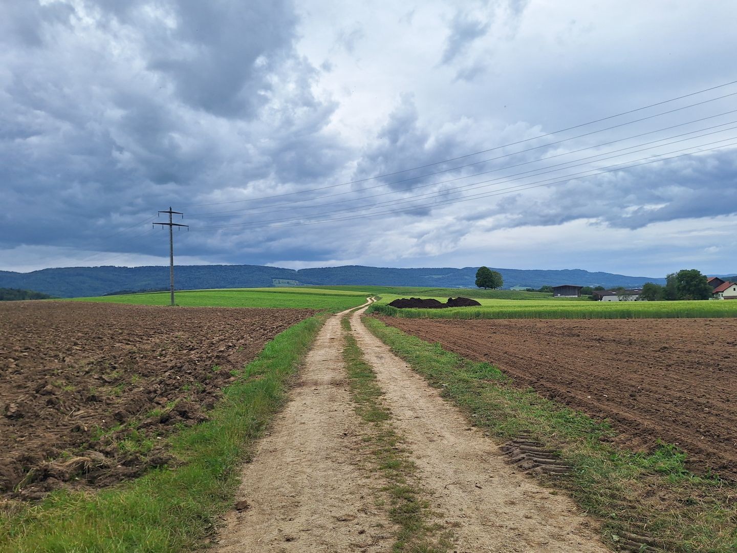 L’escursione è molto adatta per una lunga passeggiata con i cani.