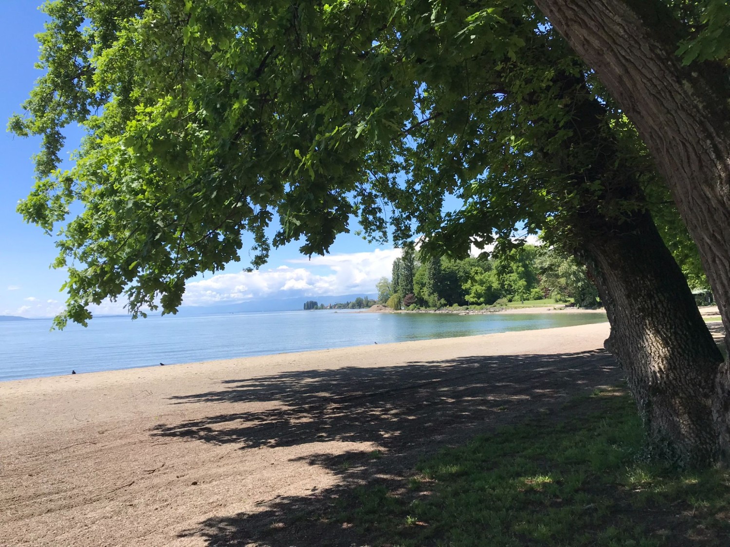 La randonnée se termine à la plage de sable de Vidy, à Lausanne, où l’on peut même envisager une baignade.