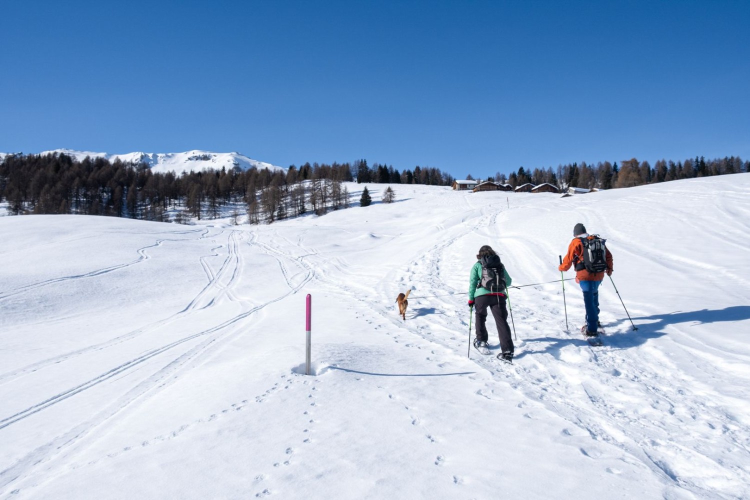 Über ein Schneefeld geht es zum Weiler Munter, dem höchsten Punkt der Wanderung.