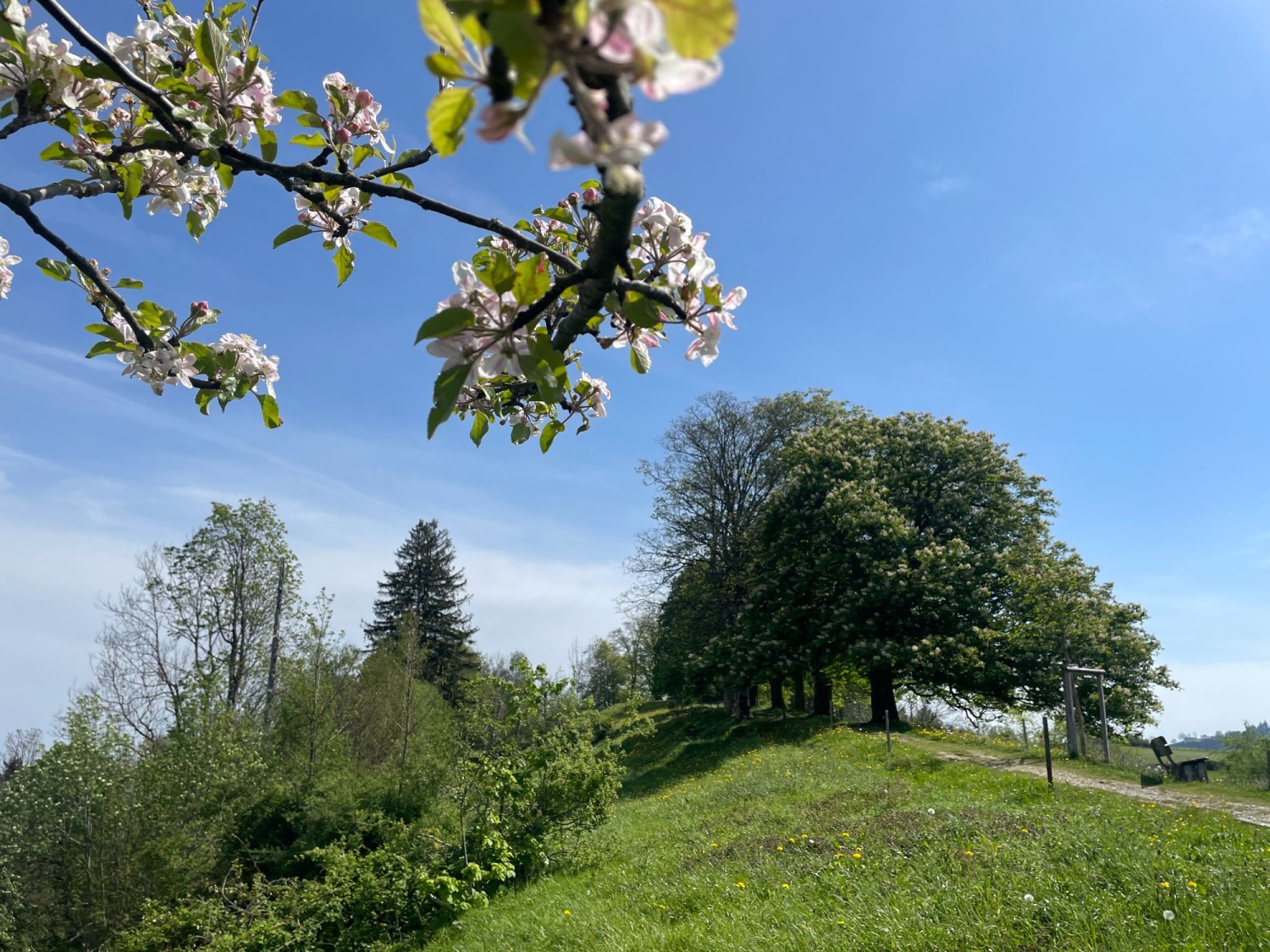 Du Freudenberg, le chemin panoramique descend vers Saint-Gall.