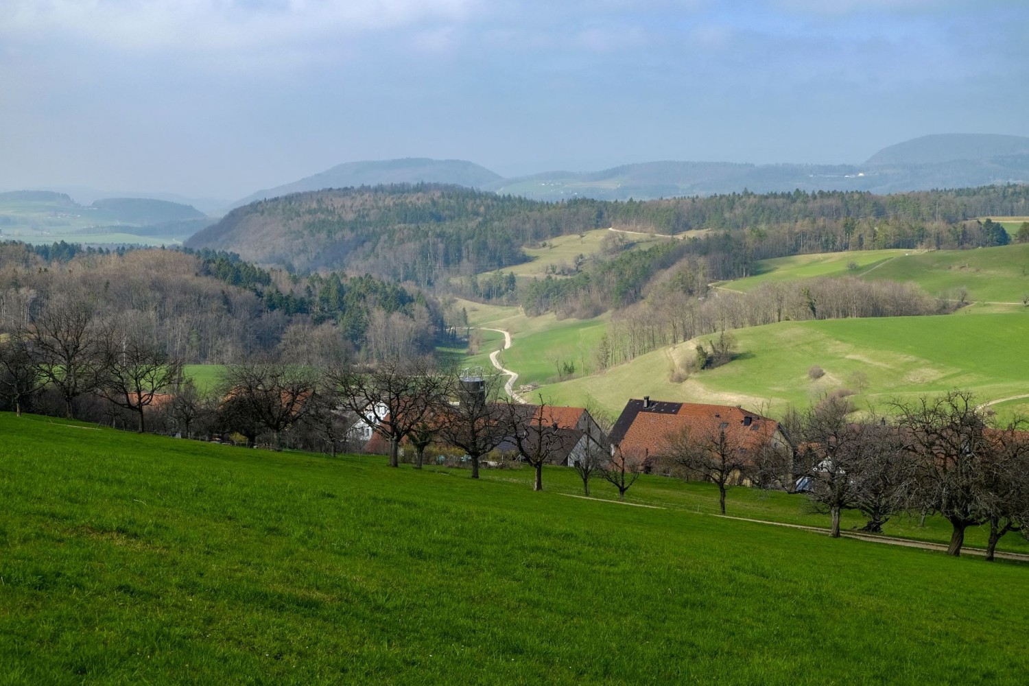 Auf dieser Wanderung soll man an schönen Tagen bis zum Schwarzwald sehen können.